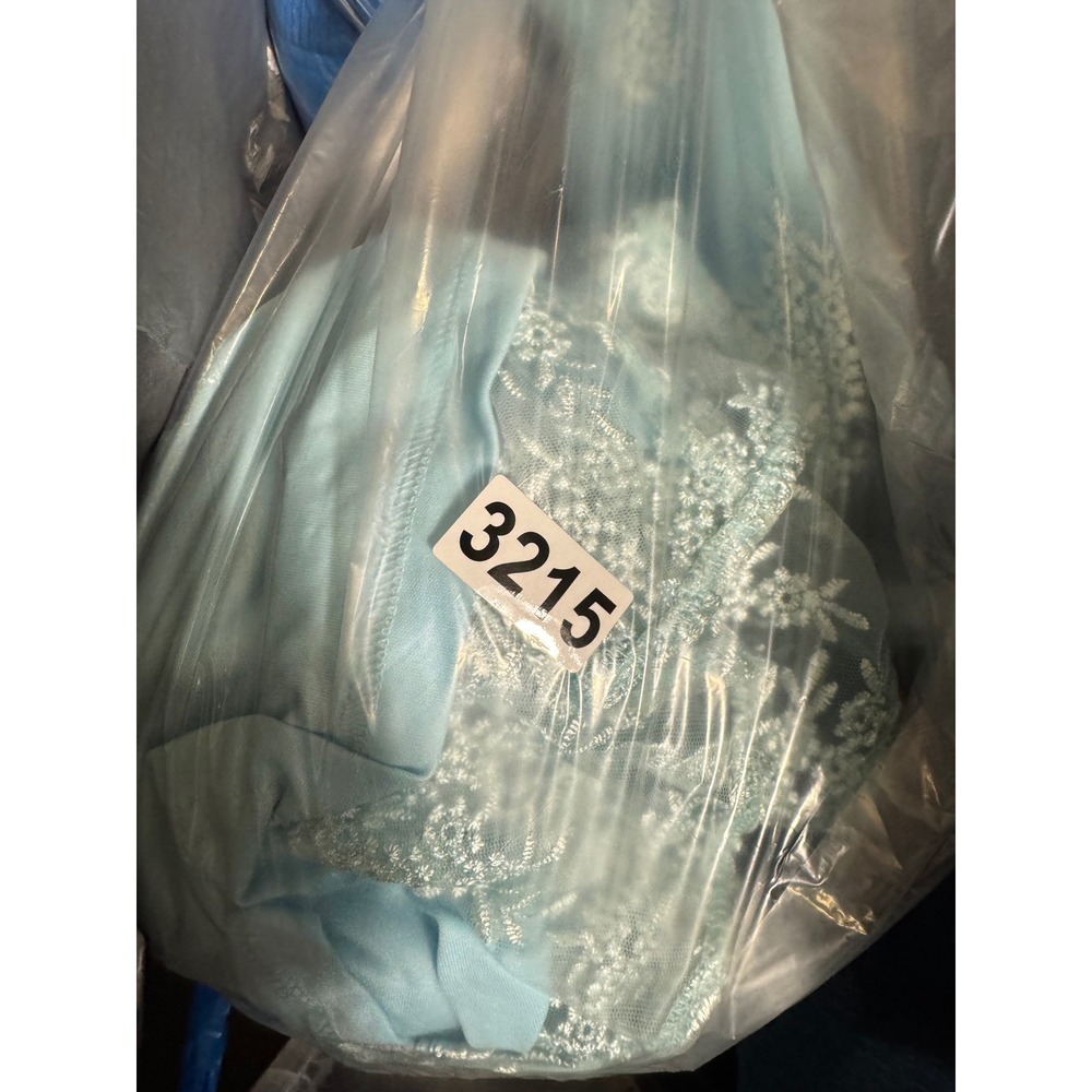 Lulus Light Blue Floral Lace 3D Applique Bustier Maxi Dress Formal Evening Prom - Picture 16 of 16